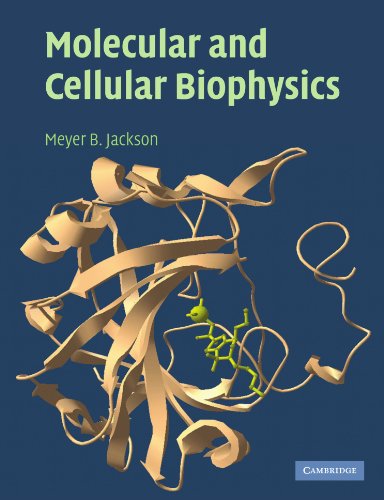 Molecular and Cellular Biophysics view 2