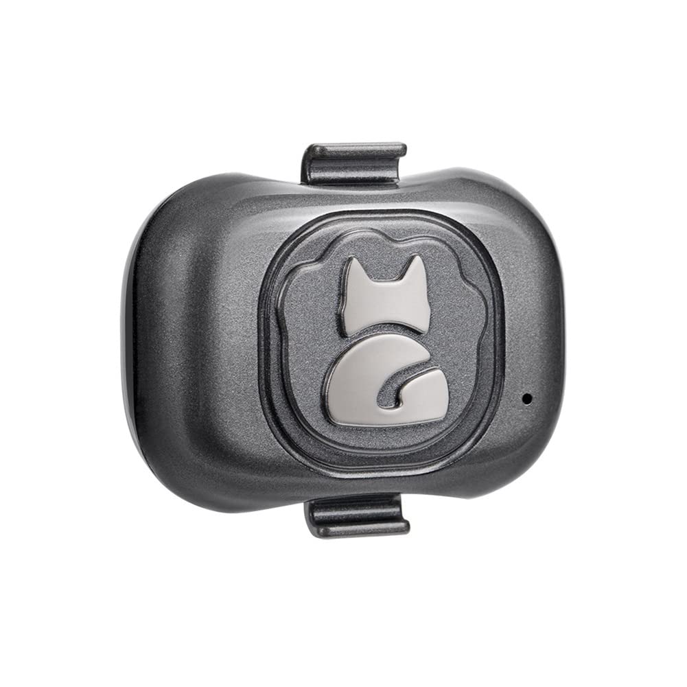 Localizzatore GPS 4G per localizzatore di cani Dispositivo anti-perso impermeabile Rilevatore di oggetti Smart Phone Piccolo allarme antifurto per animali domestici