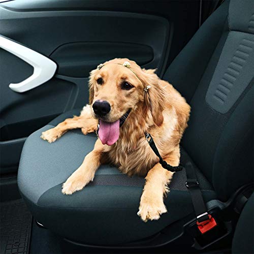 Hunde Sicherheitsgurt Adapter für Auto und KFZ