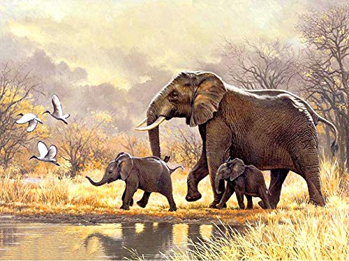 Rovepic 5D Diamond Painting Kits African Elephant Family Round Full Drill, DIY Paint with Diamonds Art Forest Lake Crystal Rhinestone Cross Stitch for Home Office Wall Crafts Decorations 12×16 Inch