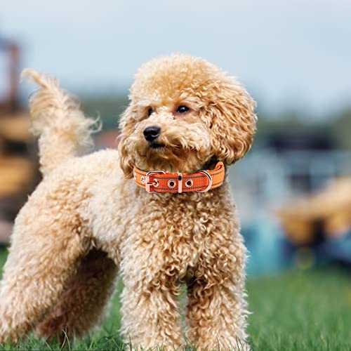 Collares acolchados antitirones para perros grandes y cachorros activos 8