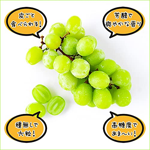 竹城青果 シャインマスカット の商品画像 4