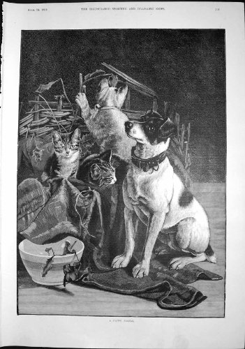 Original old antique victorian print Couverture Heureuse 1892 de Chaton de Chat de Chiot de Toc de Famille Original old antique victorian print Couverture Heureuse 1892 de Chaton de Chat de Chiot de Toc de Famille