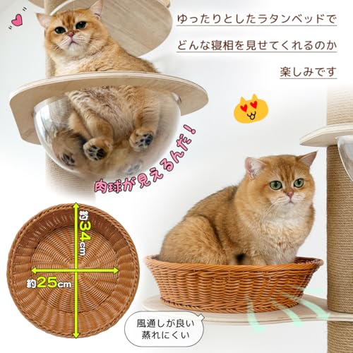 RAKU キャットタワー 突っ張り 高さ182-281cm 宇宙船ハンモック付き 猫爪とぎタワー 12cm 極太支柱 大型猫 木登りタワー おしゃれ 木製 スリム 多頭飼い 滑り止めマット 安定 登り簡単 の商品画像 6