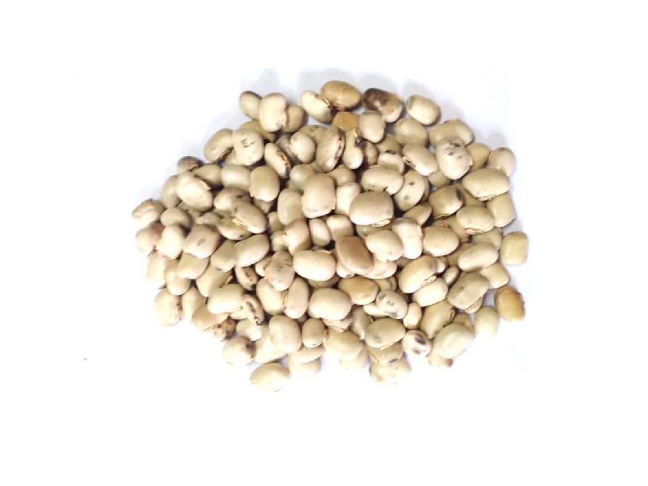 vinarghya – White Kaunch Seed/Safed Kaunch Beej/Mucuna Pruriens/Kapikachchhu/Konch/Gonca/Kavach/Tatgajuli/Banar Kakua/Naikuruna/Baikhujnee/Poonaikkali/Doolagondi – 200gm 2