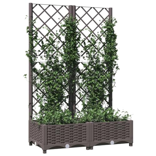 Fioriera da giardino marrone con traliccio 80 x 40 x 121,5 cm, vaso per piante da esterno in polipropilene resistente, per giardinaggio verticale per fiori e piante rampicanti, elegante decorazione da