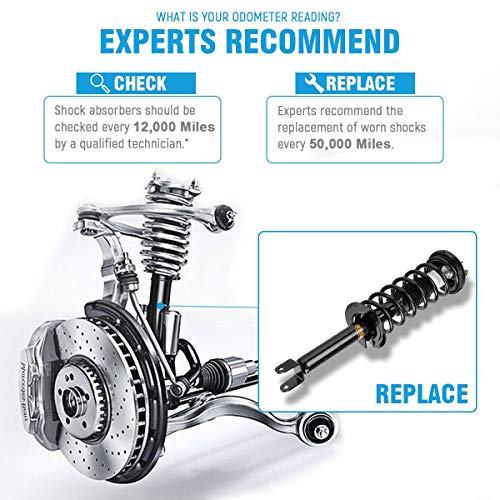 OREDY Rear Loaded Strut and Coil Spring Assembly Kit #TOP16