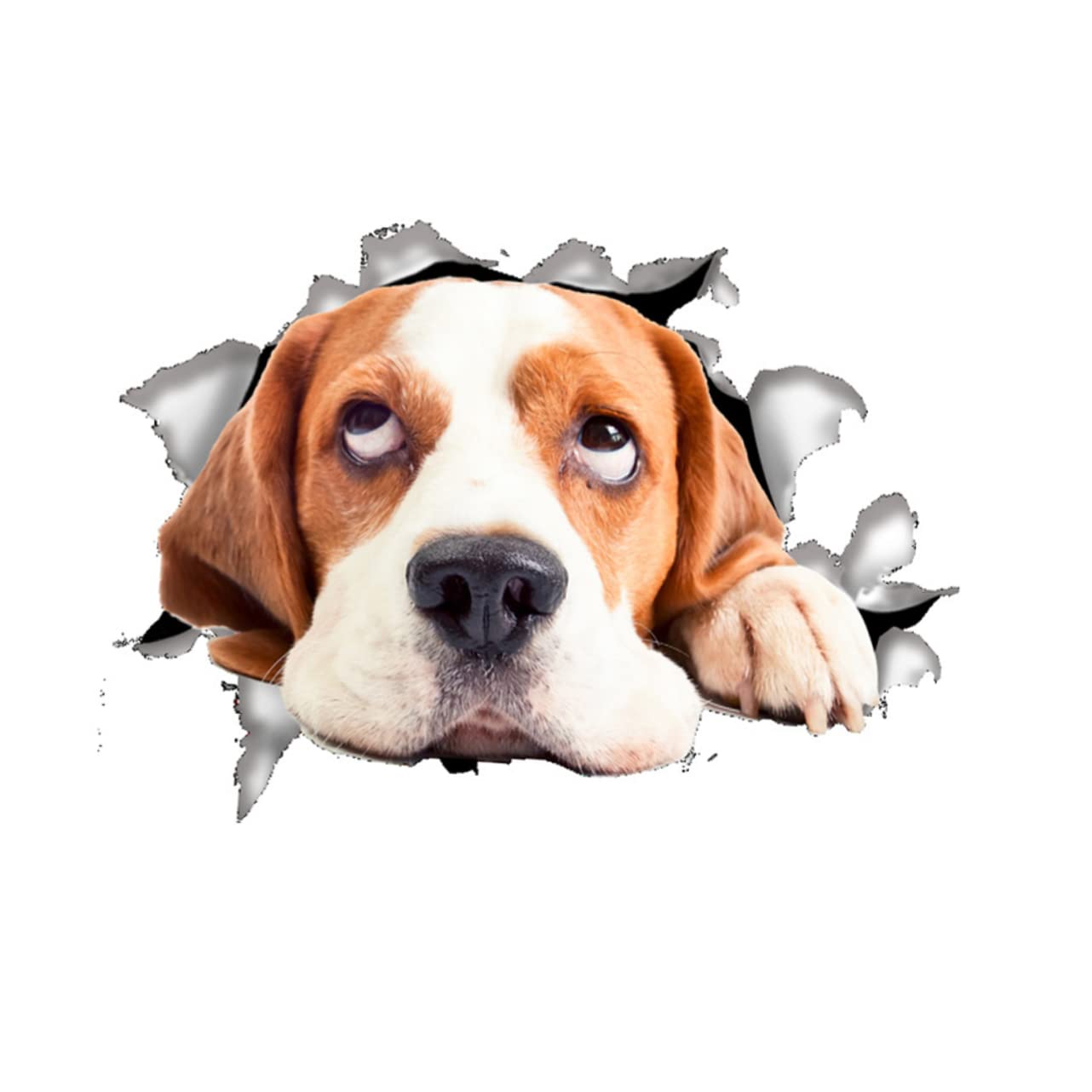 Toilet Seats Toilet Logo Notebook Toilet Tattoo Cat Toilet Sticker Animal Toilet Dog Sticker Toilet Seat Sticker Decals Applique Toilet Lid The Sign Three-dimensional