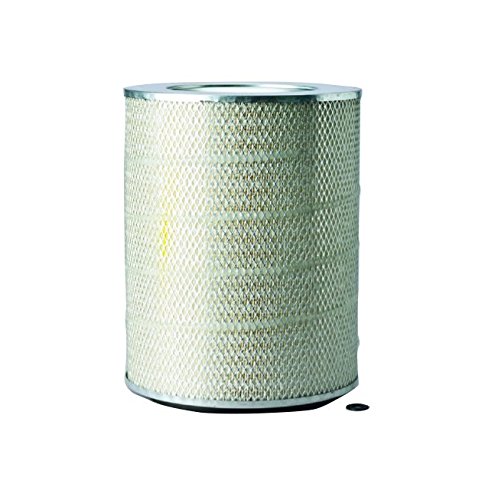 Donaldson P181056 Air Filter, Primary