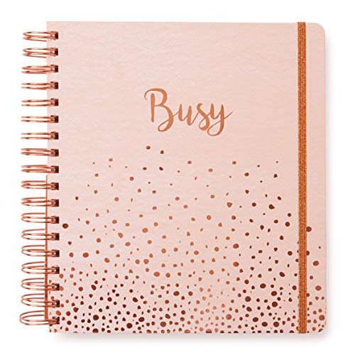 2020 Busy, 12 Month Daily Planners/Calendars: Tri-Coastal Design Planners with Monthly, Weekly and Daily Views - Personal Planner Notebook for Work or Home