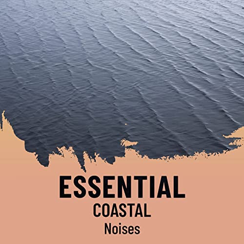 zZz Essential Coastal Noises zZz