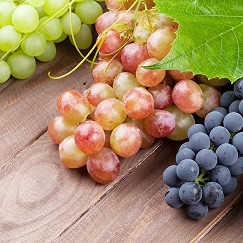 300Pcs Mixed Grape Seeds For Planting Sweet Grape For Wine Making Fruit Dessert #TOP5