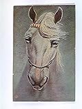 postkarte ungelaufen  Künstler-AK Pferdekopf, Edle Pferde No. 342, Primus Postkarte, ungelaufen, geschrieben 1917