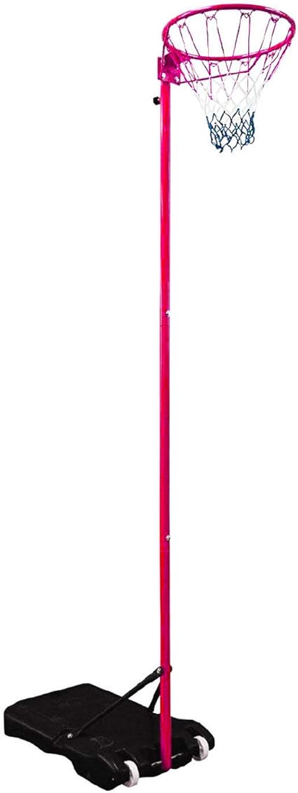 amazon netball net