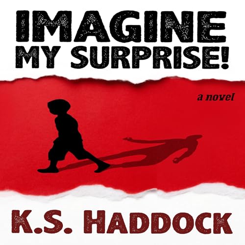 Imagine My Surprise! Audiobook By K.S. Haddock cover art