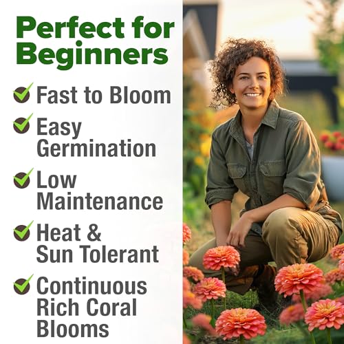 Image of HOME GROWN Coral Zinnia Seeds (1g) - 600 Zinnia elegans Annual Flower Seeds for Planting Outdoors - Heat Tolerant Easy Summer Flowers to Plant - Herb Seed Companion for Pollinator Garden Beds for 2026
