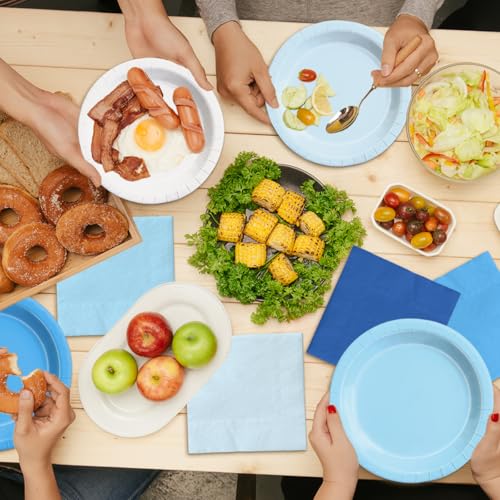 Image of CMUSKO 150Pcs Blue Plates and Napkins-Light Blue Party Supplies Gradient Blue Disposable Tableware Serves 50 for Birthday,Baby Shower,Wedding