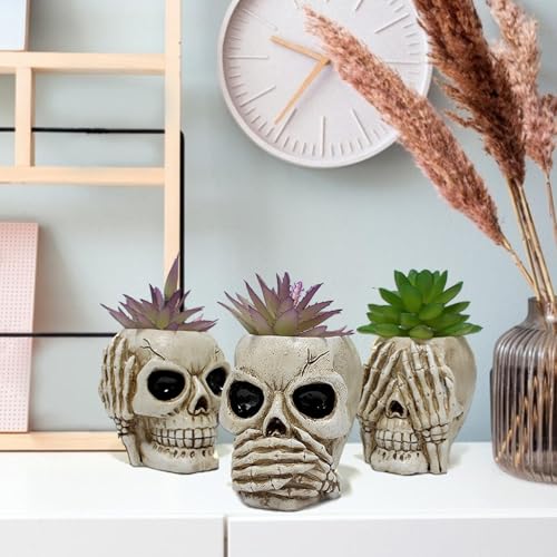 Macetero para plantas suculentas de resina resistente con diseño divertido 8