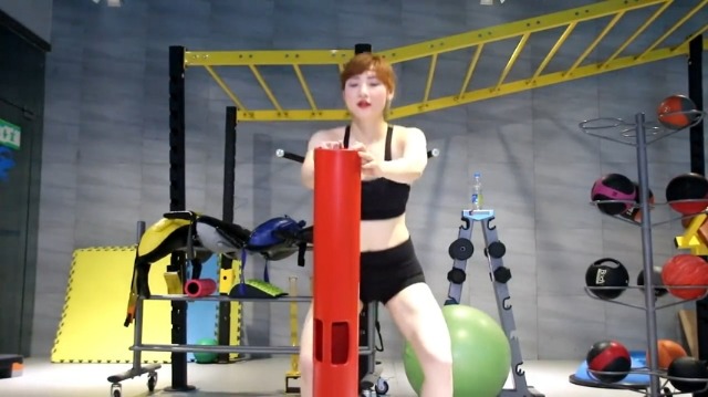 Amazon.co.jp: Vipr フィットネスバレル 4kg パープル（紫