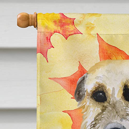 Caroline's Treasures BB9931CHF Irish Wolfhound drapeau automne - 4