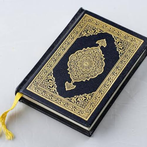 Islam Sem Censura cover art