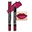 evpct 1Pcs Plum Purple Matte Lipstick and Lip Crayon Liner Pencil Pen Set for Women Lip Stain Long Lasting Waterproof labiales mate magicos 24 horas originales pintalabios permanente 24 horas 14