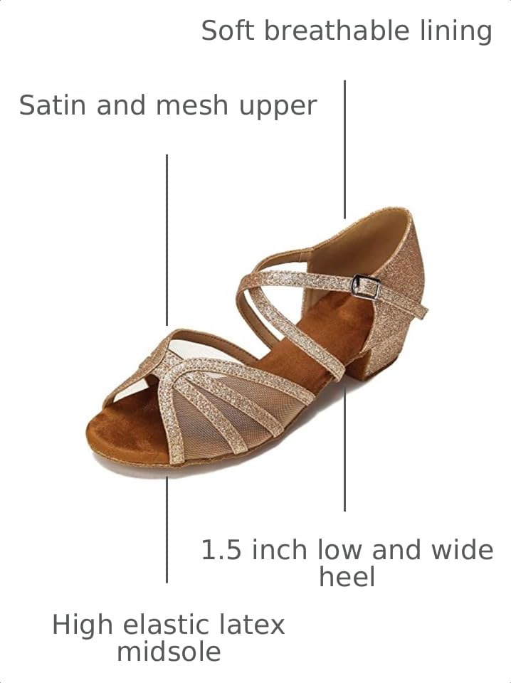 Image of Low Heel Ballroom Dance Shoes Women Latin Salsa Practice Dancing Shoes 1.5 Inch Heel ZB14