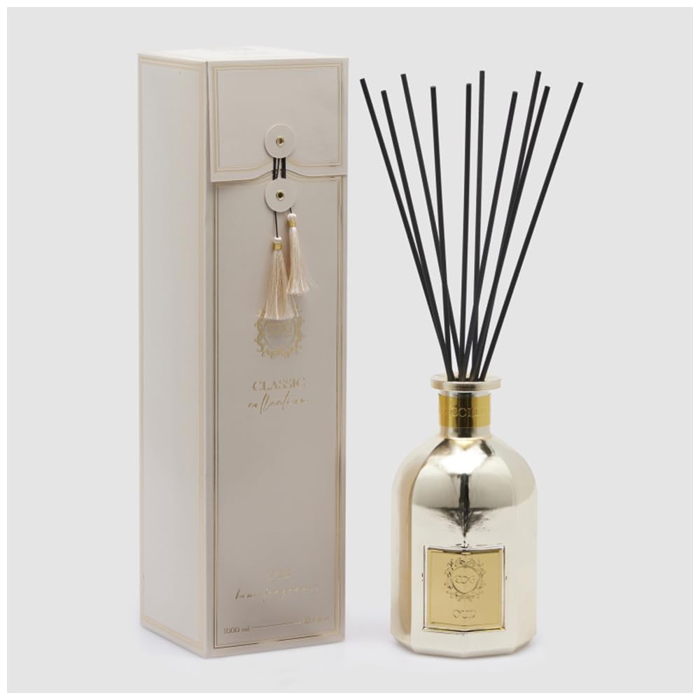 EDG - Enzo De Gasperi Profumatore Classic per Ambienti casa con Bastoncini, Bottiglia in Vetro 1000 ml 2 Varianti (1pz) Oud