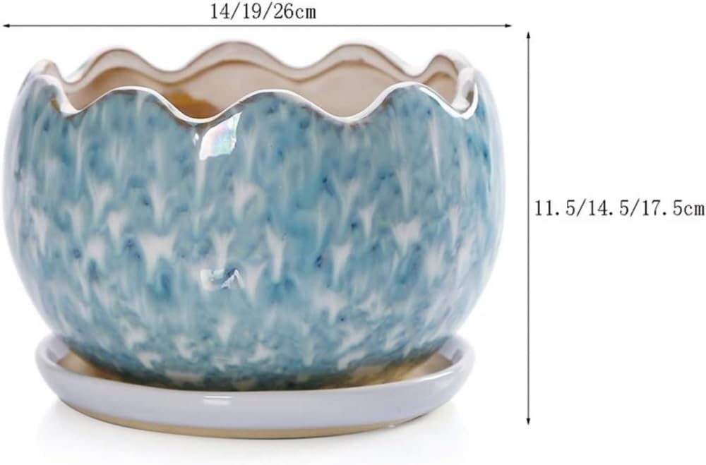 Doniczki Doniczki na sukulenty Biała ceramiczna doniczka na kwiaty Doniczka na rośliny ziołowe Doniczka Soczysta sadzarka na rośliny Doniczka na rośliny doniczkowe i zewnętrzne,M
