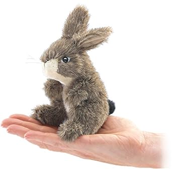 Misc. Mini Jack Rabbit Finger Puppet Book