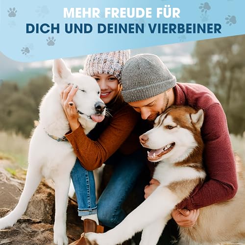 Pets Perfect® Schnüffelteppich Hund – Intelligenzspielzeug & Schnüffelmatte zur Nasenarbeit – rutschfest, Waschbar & Filz-Material – Beschäftigung & Lernspielzeug für kleine & große Hunde