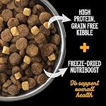Nutrience Grain-Free Subzero Large Breed Dog Food, Fraser Valley, 10 kg