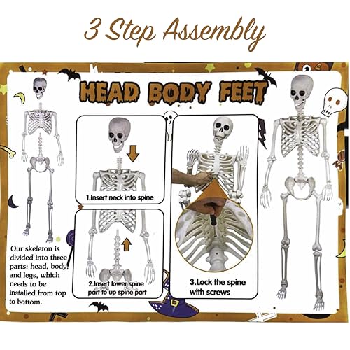 Squelette Halloween poseable 165 cm décor de cimetière blanc