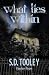 What Lies Within (Sam Casey Series Book 5)