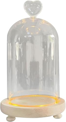 Cúpula de cristal Cloche transparente Cloche a prueba de polvo para fiestas, centros de mesa, vitrinas de boda, caja de flores, cubierta de