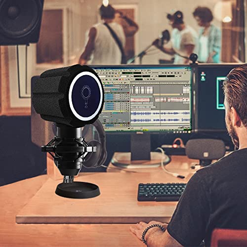 Microphone Wind Shield Pop Filter Isolation Ball, Acoustic Filter For Recording Studios Mic, Sound-Absorbing Foam That Effectively Reduces Noise And Reflections, Black #TOP4
