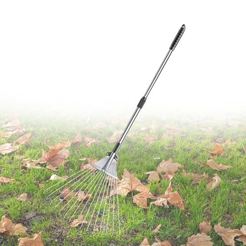 Rake For Leaves Weeding Rake Tool Long Handle, Portable Rake for Lawn Sweeper for Leaves/ Rakes for Lawns To Pull Dead, Yard Tools Rakes with Plastic Head for Picking Leaves(15 Teeth 160cm (63in))