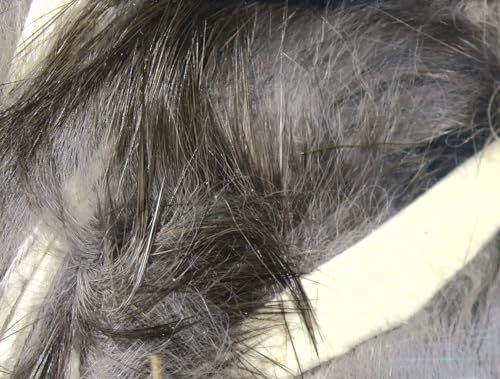 Hareline Fly Tying Magnum Rabbit Strips - Wide Rabbit Fur Strip Material for Streamers, Pike, Musky & Saltwater Flies