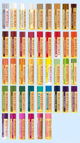 Burt's Bees 10 Pack Gift Set Lip Balm Assorted Mix Pack, 10 diffe...