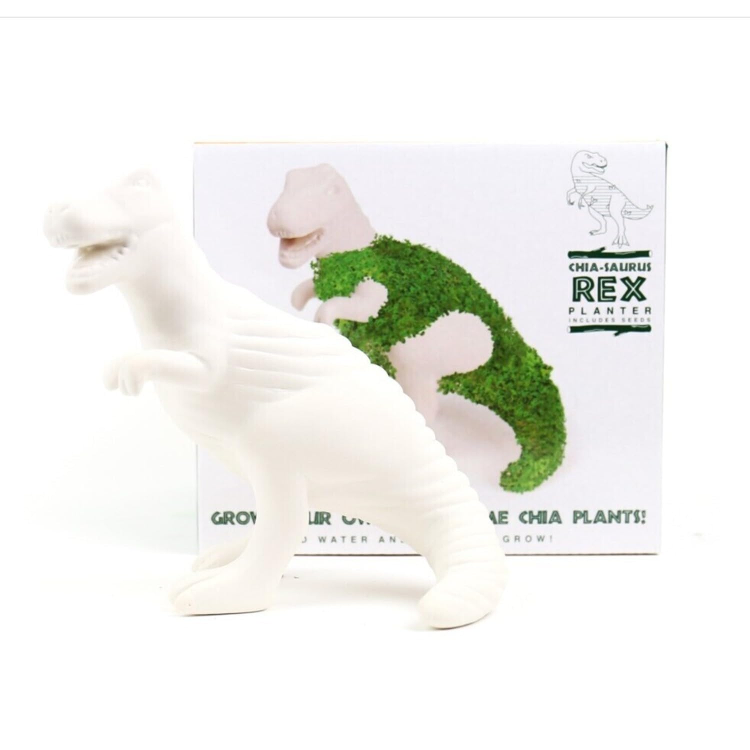 GR Gift Republic T-Rex Dino Blumentopf mit Chia Samen