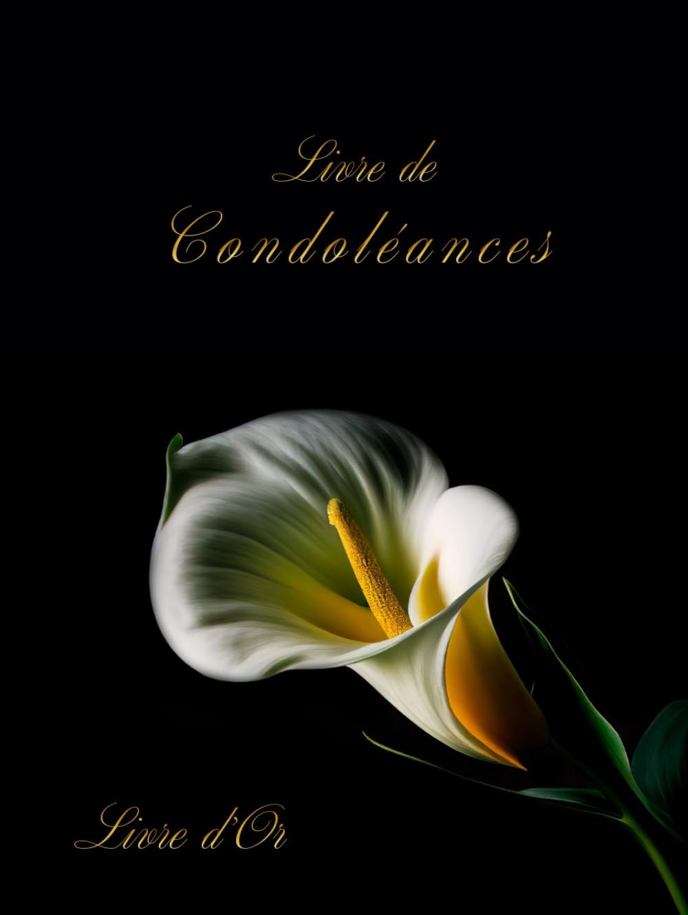 Livre de Condoléances: Ce livre relié avec une couverture rigide et 100 magnifiques pages en couleur, est un support aux témoignages d'amour et ... hommage | funérailles, décès | Grand format |