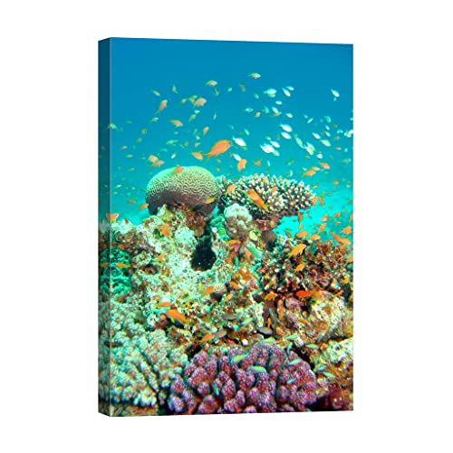 Canvas painting Nature DCL349-2 tableau luminescent 80x120cm