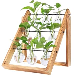 Plant Propagation Stations with 9 Glass Tubes, Gifts for Women, Plant Terrarium with Wooden Stand, Plant Propagation Vase Station for Home Office Garden Decor Planter