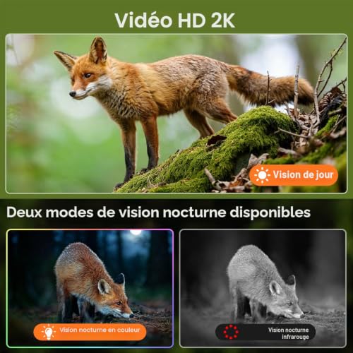 LEMNOI Caméra 4G Solaire Extérieur avec Carte SIM Préinstallé sans WiFi, 4G Caméra de Chasse avec 2K Vision Nocturne Couleur, PTZ 360°, Détection de Mouvement, Audio Bidirectionnel, Etanche IP66 – vue 5
