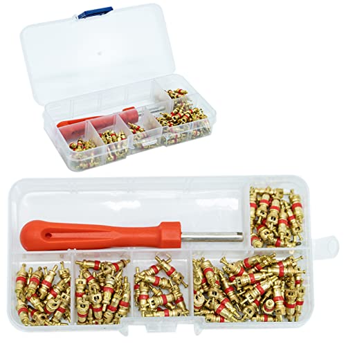 SZXMDKH 100Pcs Demonte Valve Pneu Outil Démonte obus de Valve Outil de Reparation avec 100Pcs Valve Core pour Voiture Remplacement, 4-1 Outil de Réparation de Valve de...