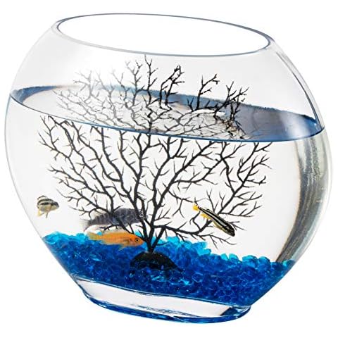 hygger Mini Glass Oblate Fish Bowl Kit Cover