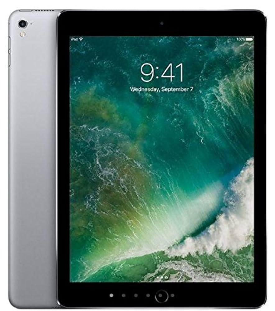 iPadPro 12.9インチ 256gb + Apple Pencil2 iPad Pro 12.9 256GB 第5世代 ＋ Apple pencil2