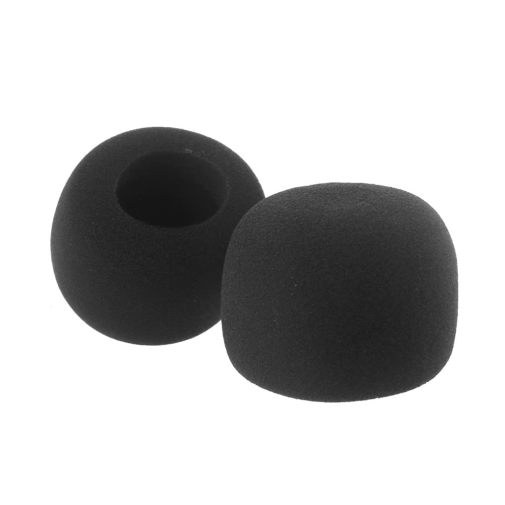 BIGULA Filtre Coupe-vent En Mousse Pour Microphone Zoom H1