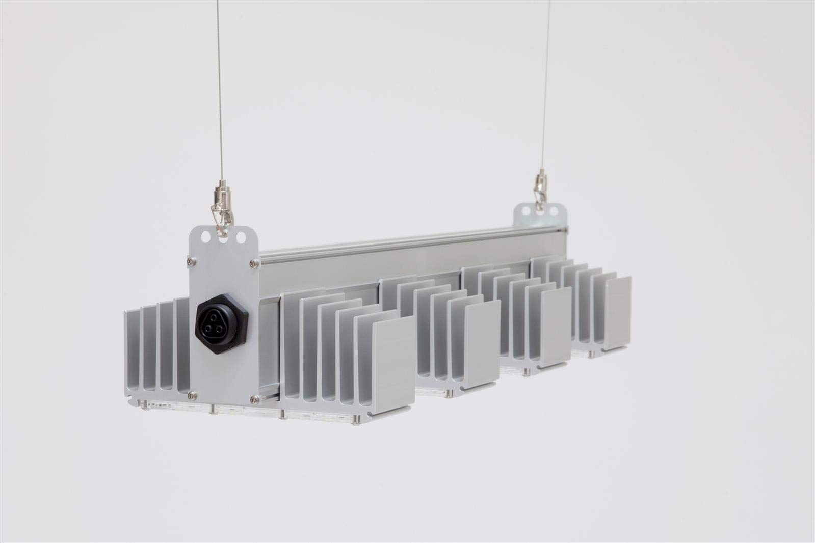 SANlight Q4W S2.1 Gen2 165W : Amazon.de: Beleuchtung