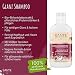 Sante Naturkosmetik Family - Champú con hojas de abedul orgánico y proteína...